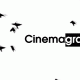 birds-cinemagraph