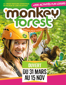 Parc_de_loisirs-Loire_atlantique_44_MonkeyForest